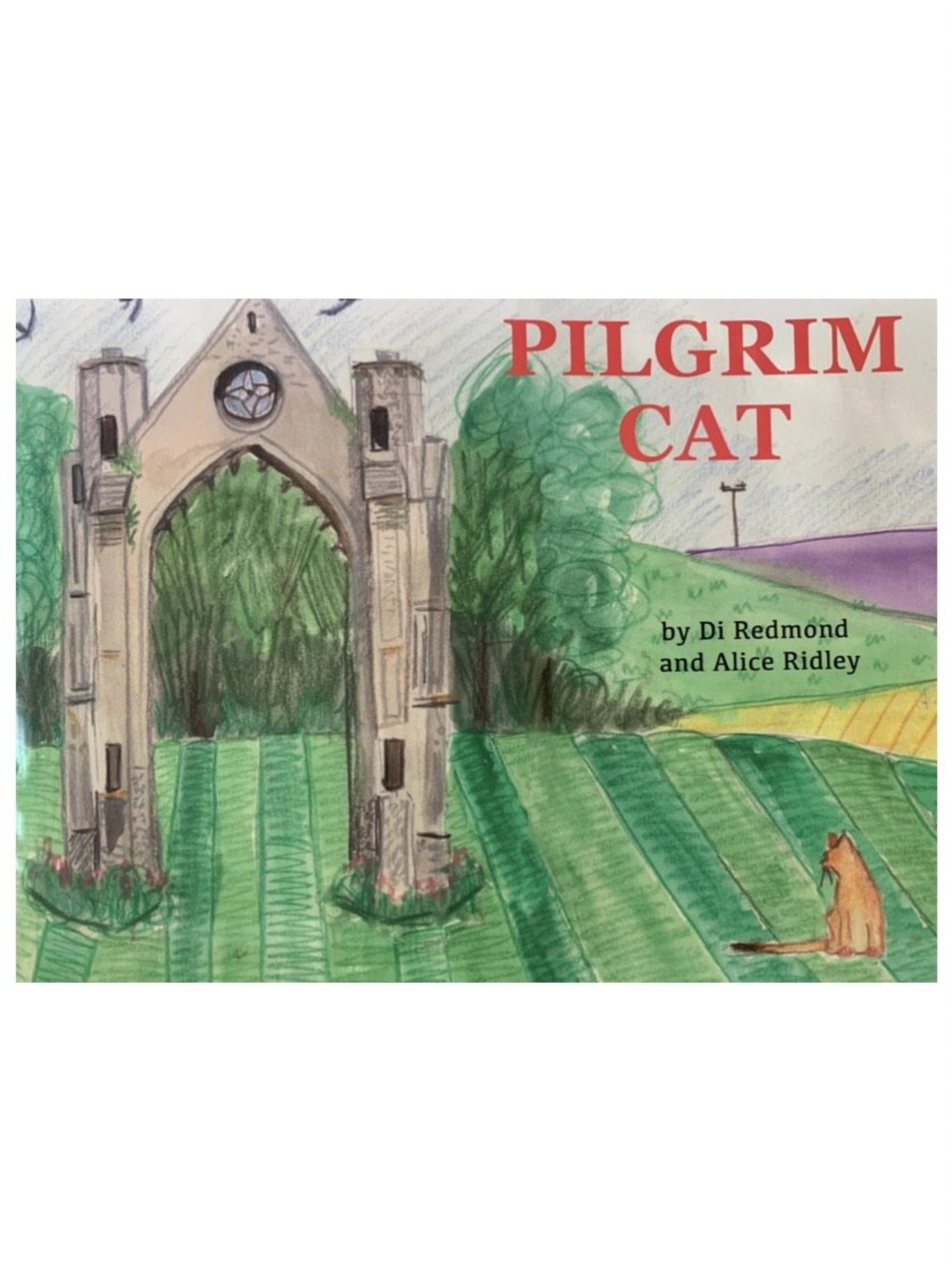 Pilgrim Cat by Di Redmond and Alice Ridley